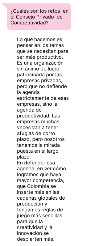 Ana-fernanda-chat-2.png